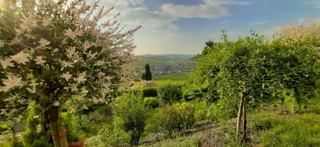Apartmán Casa La Vino Leiwen Exteriér fotografie