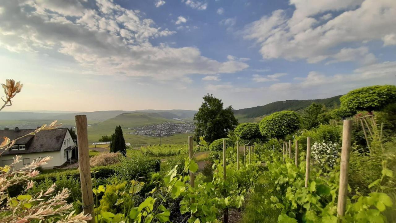 Apartmán Casa La Vino Leiwen Exteriér fotografie