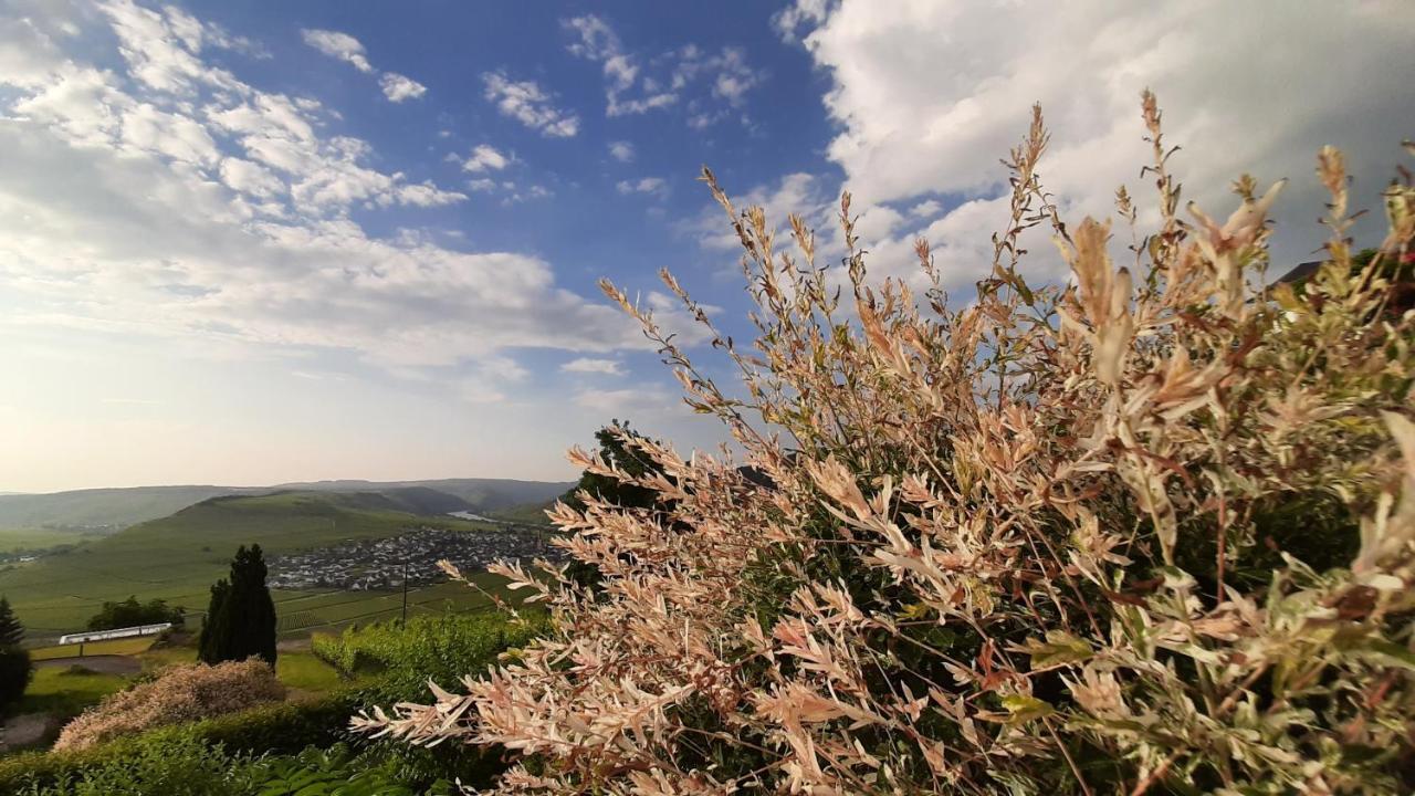 Apartmán Casa La Vino Leiwen Exteriér fotografie