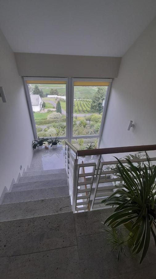 Apartmán Casa La Vino Leiwen Exteriér fotografie
